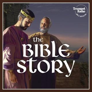 The Bible Story