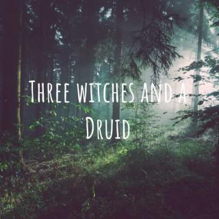 Three Witches and a Druid