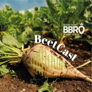 BBRO BeetCast