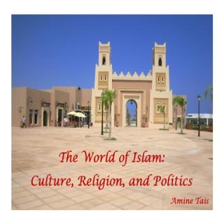 The World of Islam: Culture, Religion, and Politics