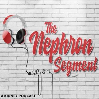 The Nephron Segment