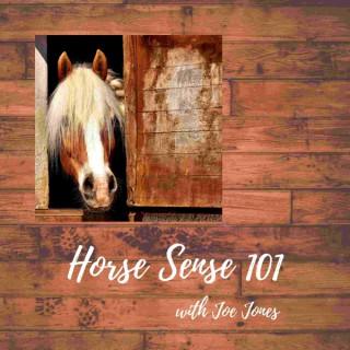 Horse Sense 101