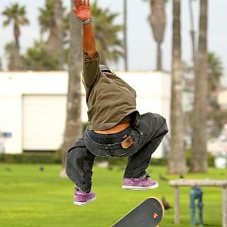 skateboards