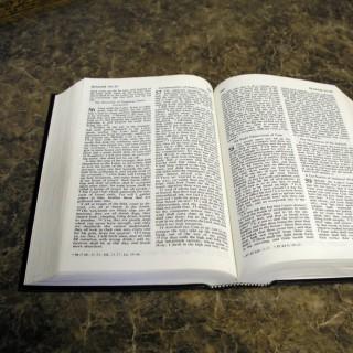 bible commentary