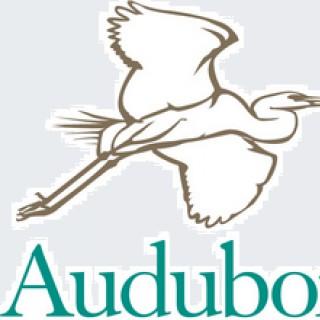 audubon society