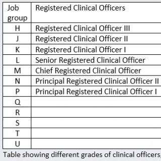 chief clinical officer